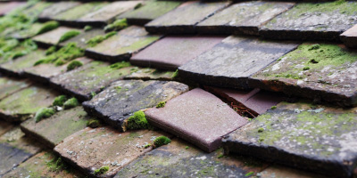 Haslingfield roof repair costs